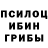 Псилоцибиновые грибы Psilocybe Kli Ent
