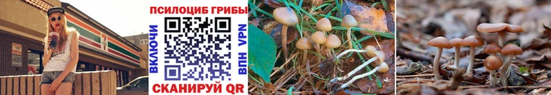 Галлюциногенные грибы GOLDEN TEACHER  Темников 